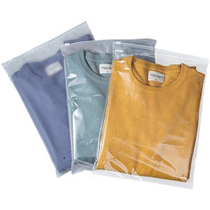 Biodegradable Pe Pvc Eva Zip Lock Clear Slider Frosted Zipper Clothing Ziplock Poli Bag