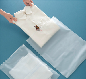 Custom Printing Logo Slider Pack Zipper Bag Poly Garment Customized Travel Clear Printed Frosted PVC White PE Side Gusset Bag