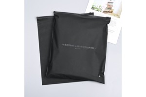 Custom Colorful White/Clear PE Recyclable Zipper Bags with Gravure Printing for Apparel & Shoes Packaging