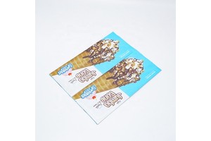 Custom Printed Plastic Heat Seal Ice Cream Packaging Eco-friendly Durable Popsicle Packaging Pouch Bag for Sale