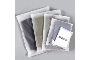 Wholesale Factory Custom Printing Logo Packing Clear Frosted Zipper Lock #3 #5 Plastic Slider for Clothing and Bag