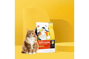 Custom Printed Plastic Aluminium Pouch Side Gusset Flat Bottom 1Kg 1.5Kg 2Kg Slider Zipper Packaging Pet Treat Dry Dog Food Bags